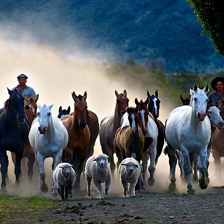 Estancia Nibepo Aike Colonia Francisco Perito Moreno Exteriör bild