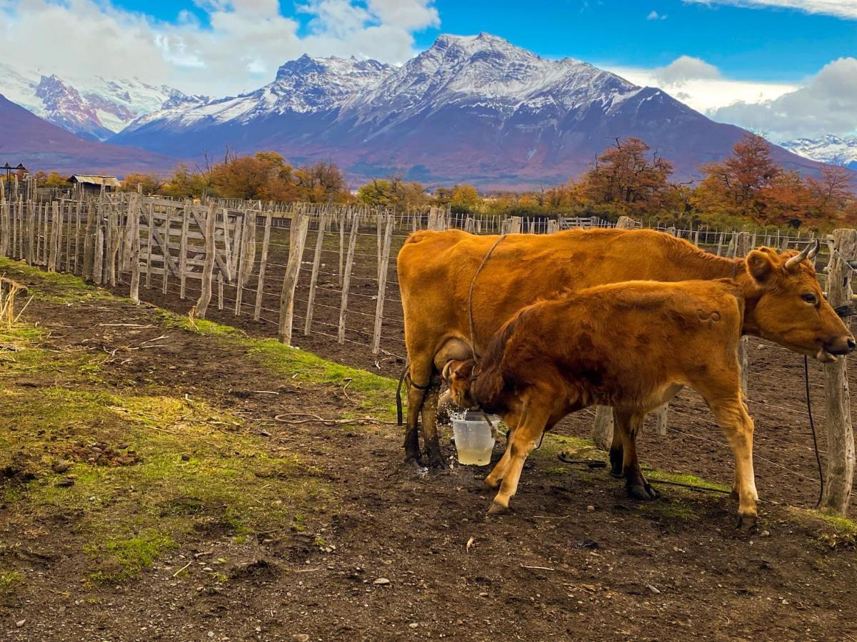 Estancia Nibepo Aike Colonia Francisco Perito Moreno Exteriör bild