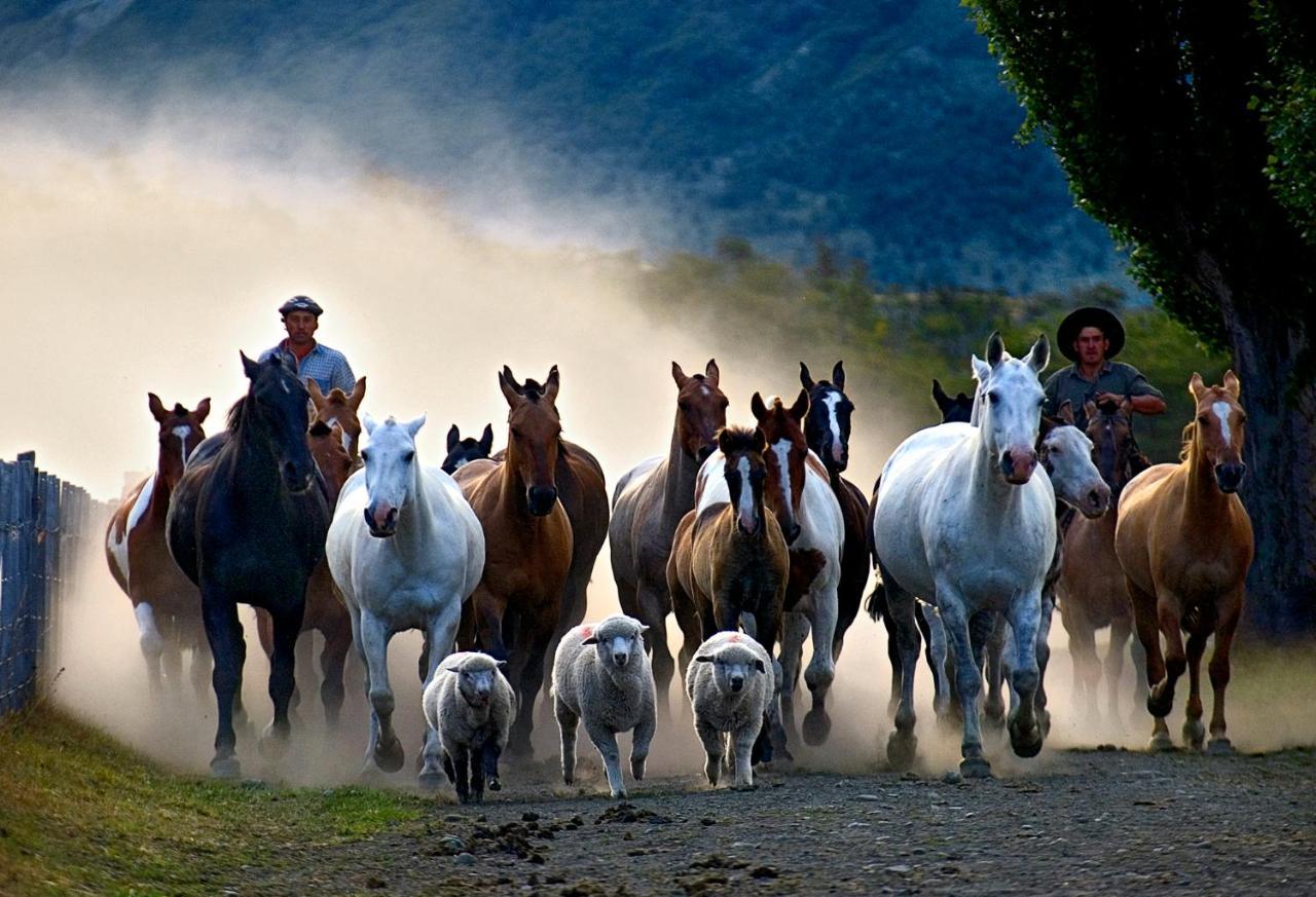 Estancia Nibepo Aike Colonia Francisco Perito Moreno Exteriör bild