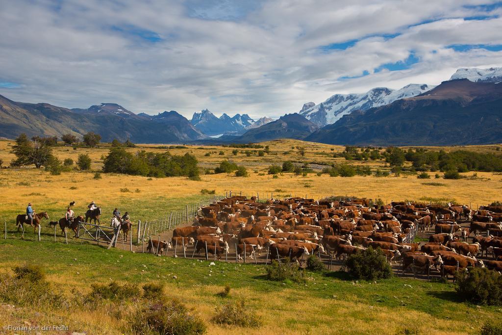 Estancia Nibepo Aike Colonia Francisco Perito Moreno Exteriör bild
